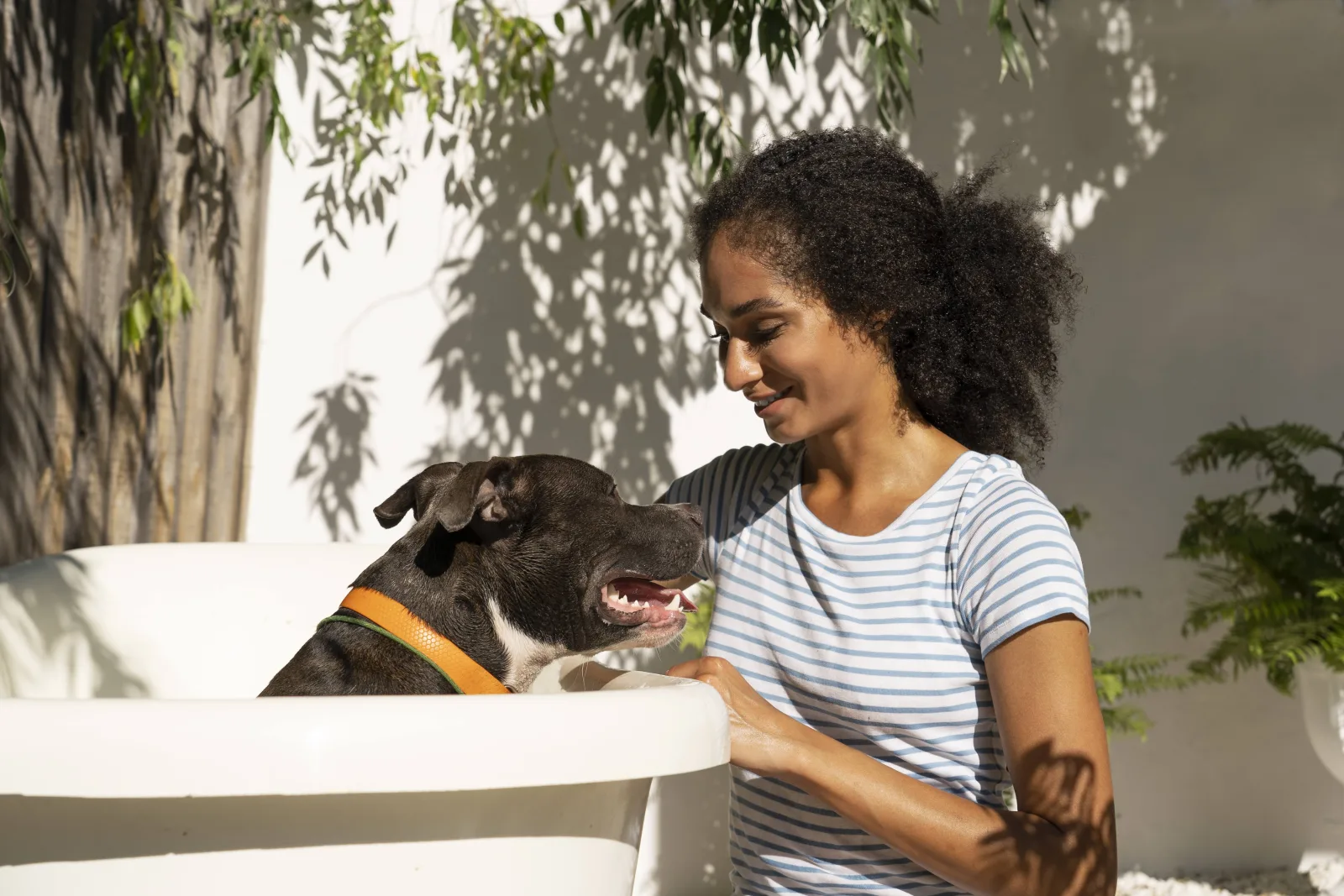 Vaquinha para pets: como arrecadar para cirurgias e resgates